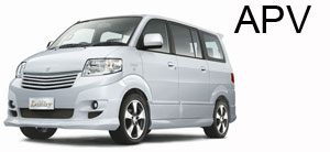 Sandi Bali Tour Driver