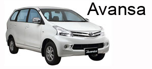 Sandi Bali Tour Driver